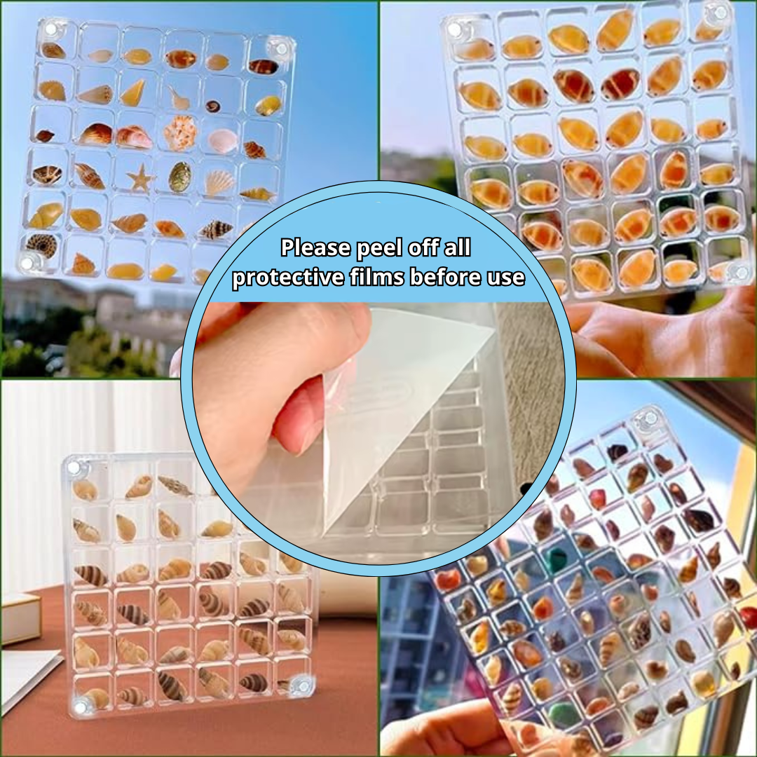 Acrylic Shell Box