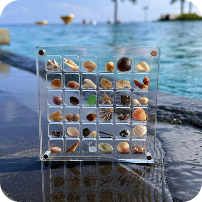 Acrylic Shell Box