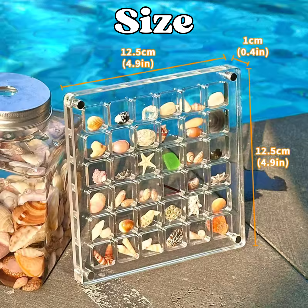Acrylic Shell Box