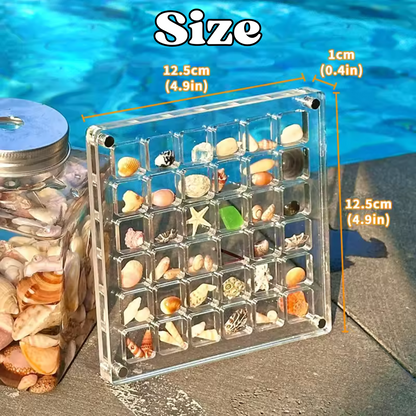 Acrylic Shell Box